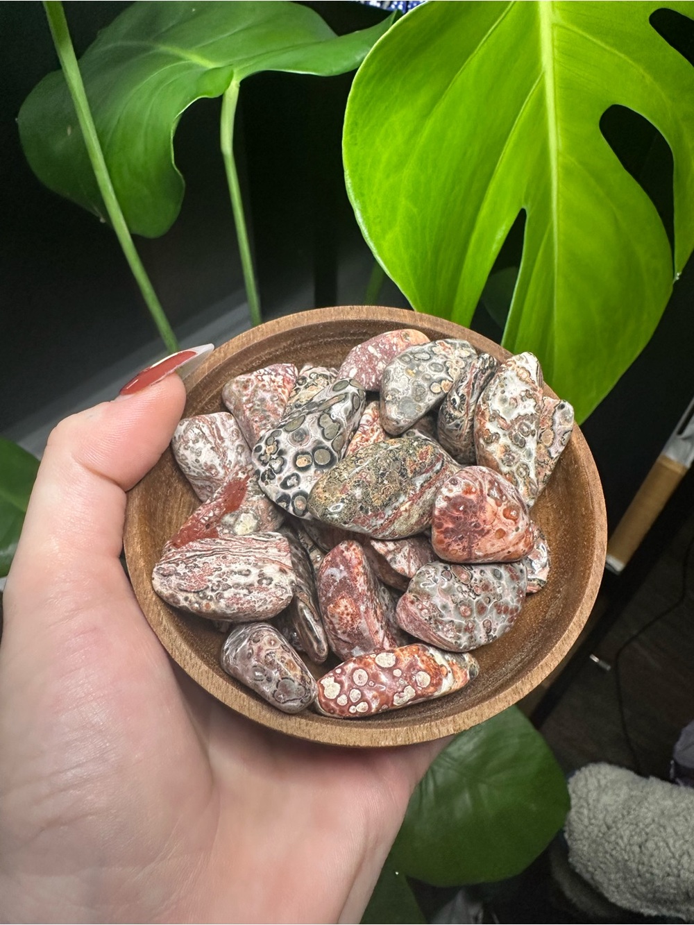Natural Red and Gray Leopard Skin Jasper Crystal Tumbles